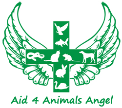 Aid 4 Animals Angel