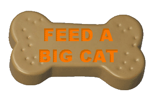 Click here to feed a big cat