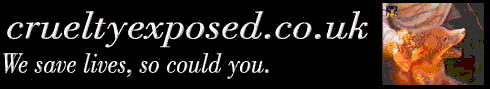 imagicweb. Portal Solutions